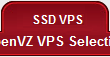 OpenVZ SSD VPS.